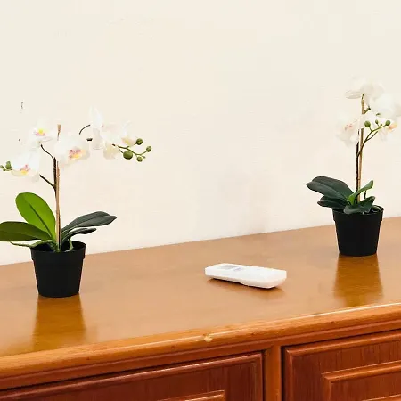 Blue Appartement Albufeira